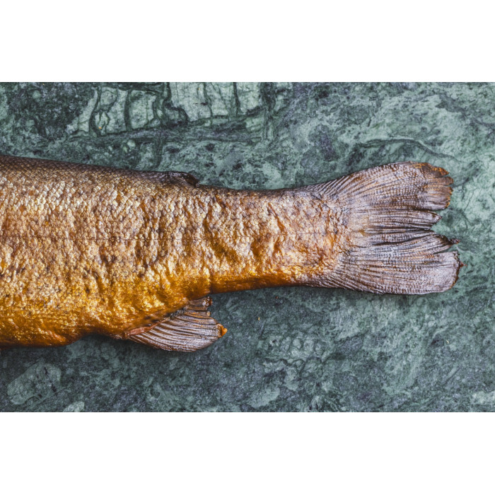 Pstrąg tęczowy wędzony na gorąco +250-350g/szt