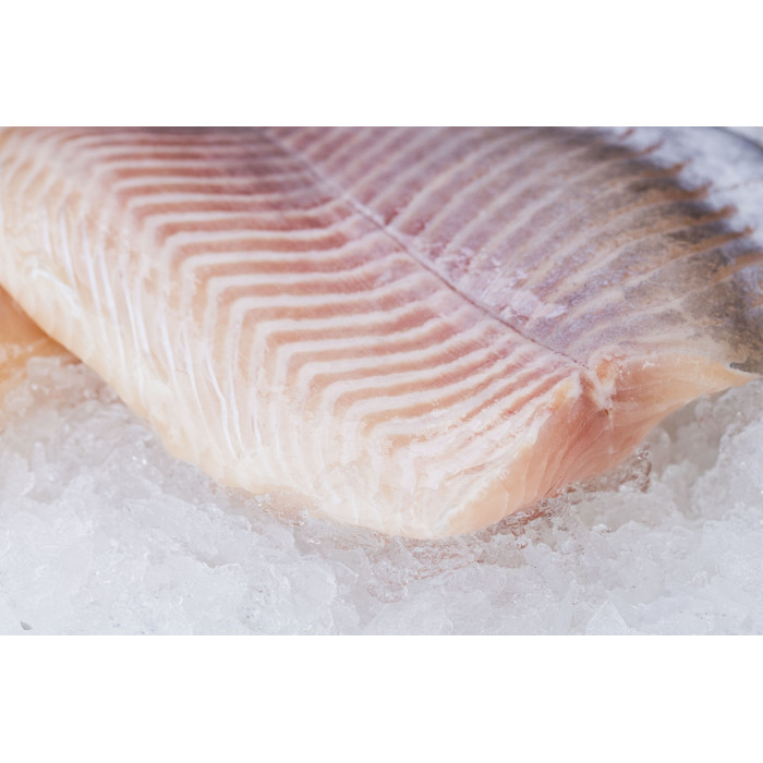 Troć  filet +250-350g/szt