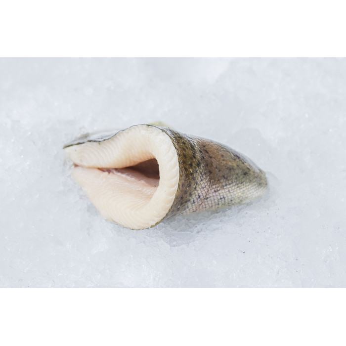 Pstrąg tęczowy filet BIO(+250-350g/szt)